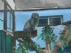 -青藏高原野生动物园