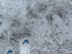 -太子岭滑雪场