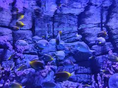 -成都浩海立方海洋公园