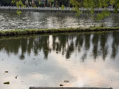 -翠湖公园