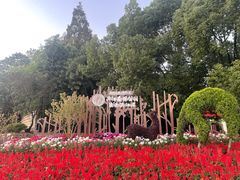 -上海滨江森林公园