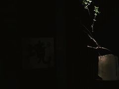 -见山茶事(丽水路店)