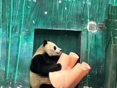 -沈阳森林动物园