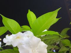 -iF摄影•全家福•证件照•形象照(南山店)