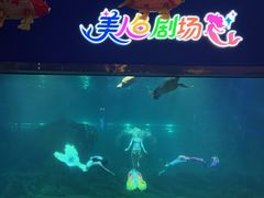 -福州罗源湾海洋世界旅游区