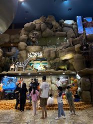 -卡通尼·Safari非洲探索乐园·生日会(金桥国际商业广场店)