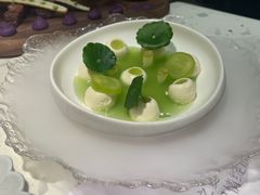 -Tomacado花厨(One ITC店)