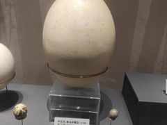 -天津自然博物馆