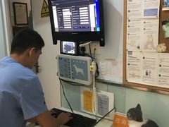 -纳吉亚猫专科动物医院博雅分院