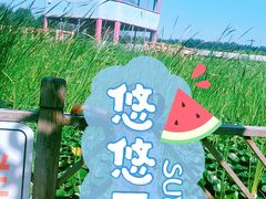 -河北村民俗体验园