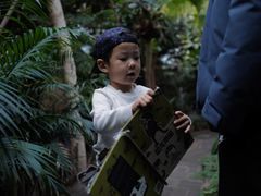 -呀路古热带植物园-恐龙馆
