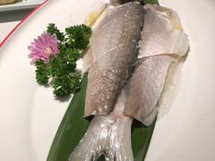 -码头见·潮汕菜(领展中心城店)