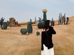 -西海岸生态观光园