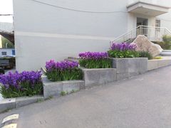 -山西大学(大东关校区)