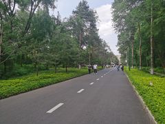 -黑龙江省森林植物园