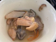 -蘑统田下·野生菌火锅