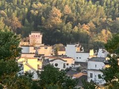 -塔川景区