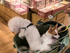 -九木杂物社(崂山丽达店)