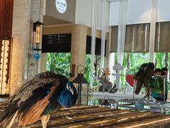 -西双版纳融创皇冠假日度假酒店