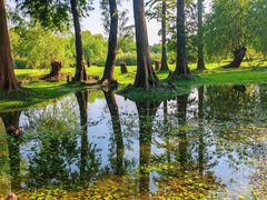 -长广溪湿地公园