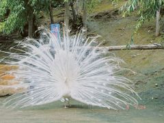 -哈尔滨北方森林动物园