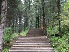 -黄龙山原始森林景区