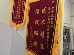 -艾吉宠物医院·疑难杂症转诊中心·猫友好(碧江路院)