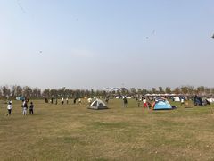 -春花秋色城市公园