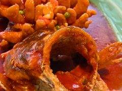 -西湖春天•老字号杭州菜(百汇店)