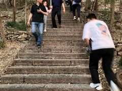-紫金山山顶公园