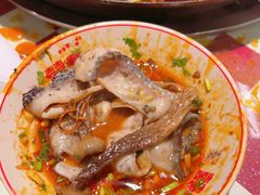 -赵美丽重庆火锅(西安直营总店)