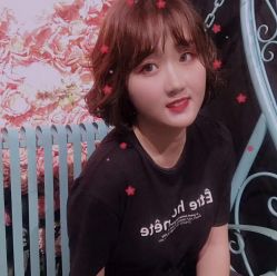 点击看大图 -金棕榈