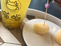 -喵屿·大理花园猫咖