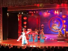 -金东尼人妖秀