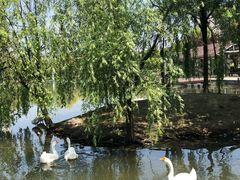 -杭州师范大学(下沙校区)