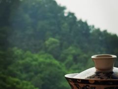 -涂山寺素食餐厅