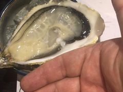 -HIHE Bistro·Oyster Bar(华熙live店)