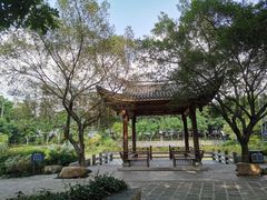 -光明港公园