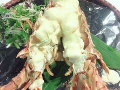 -越海渔村