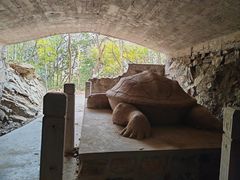 -上海佘山国家森林公园天马山园