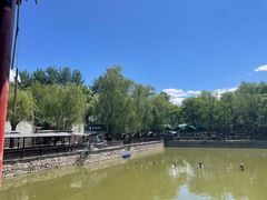 -尚庄度假村·庭台树下·户外烧烤·团建CS·轰趴营地(上庄水库店)
