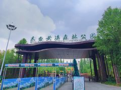 -黄海国家森林公园