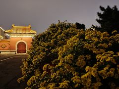 -北陵公园