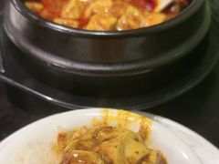 -陈麻婆豆腐总店