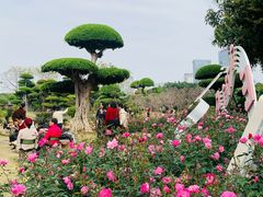 -南宁南湖公园
