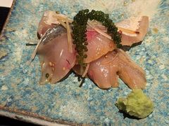 -橼舍鮨青木