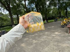 -黛秀湖公园