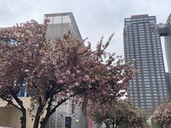 -西安创业咖啡街区