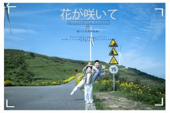 点击看大图 -贝影FACE亲子摄影(宁波区总店)