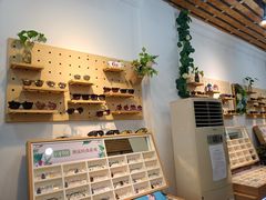 -名镜廊(宝源路店)